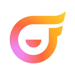 码上飞 logo