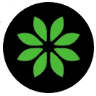 PixPark AI logo