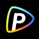 Pollo AI logo